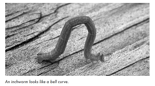 An inchworm looks like a bell curve