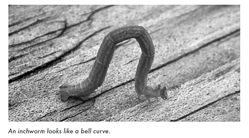 An inchworm looks like a bell curve