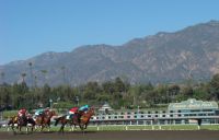 Santa Anita Racecourse