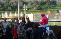 Winner Circle St. Trinians